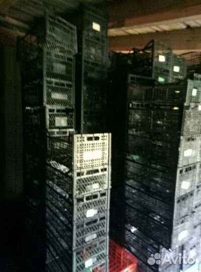 Ящик пластиковый