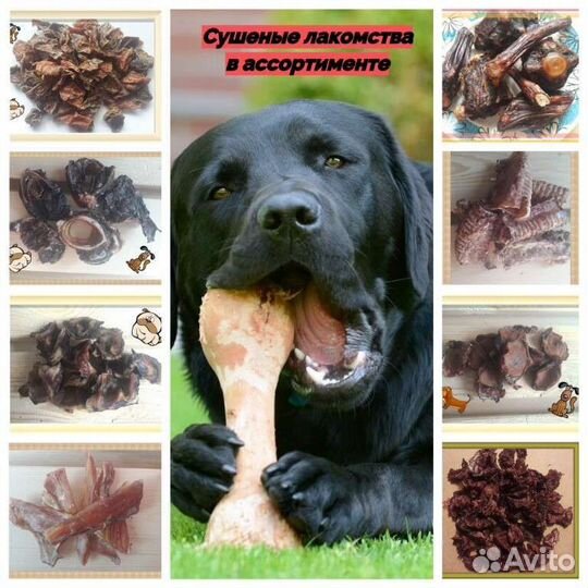 Лакомства для собак сушёные. Доставка