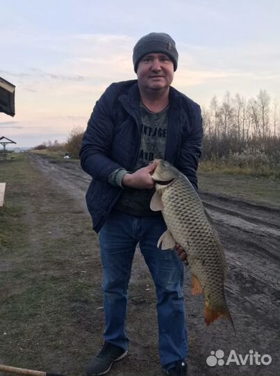 Платная рыбалка