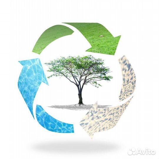 Услуги в области экологии