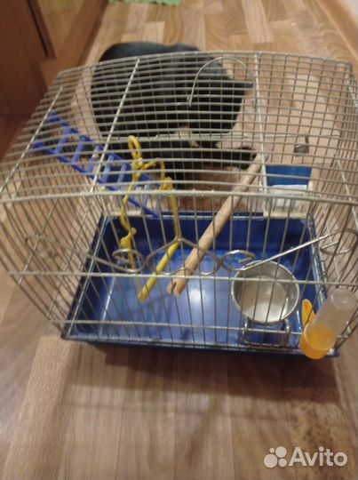Клетка для птиц