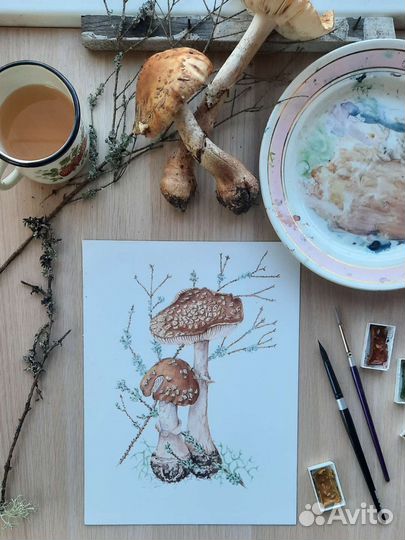 Ботаничекая иллюстрация. Акварель. Мухоморы