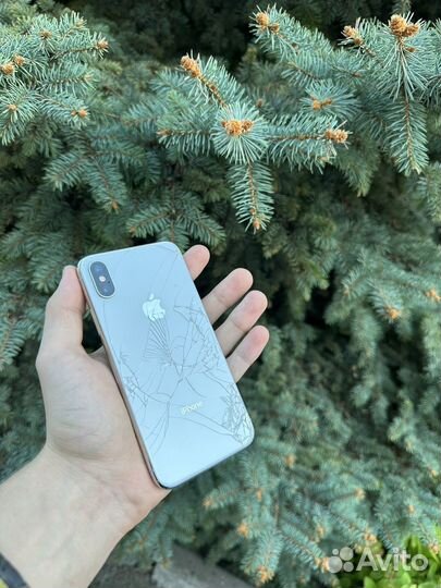 iPhone X, 256 ГБ