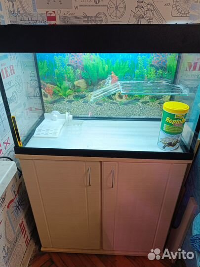 Аквариум 100л с тумбой