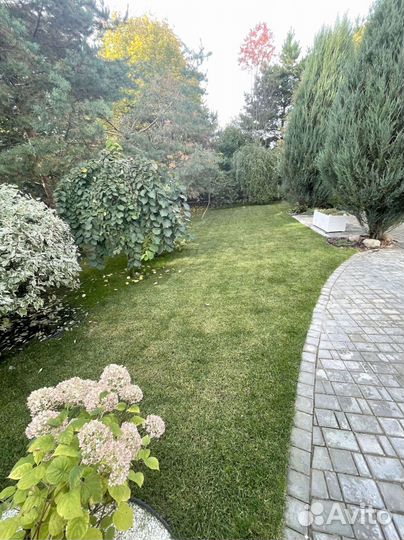 Рублевка. Рулонные газоны премиум качества