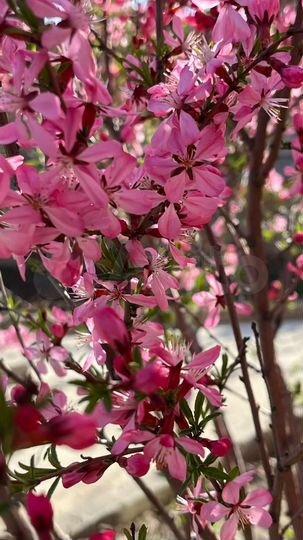 Коттедж 159,5 м² на участке 15 сот.