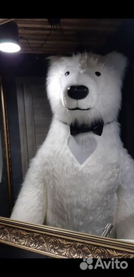 Белый мишка