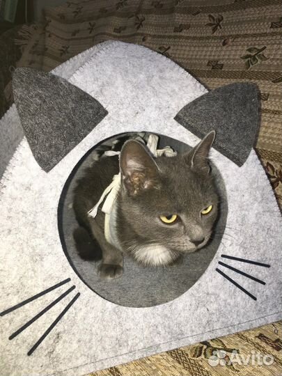 Сонечка ищет мампап
