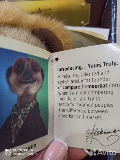 Кукла сурикат