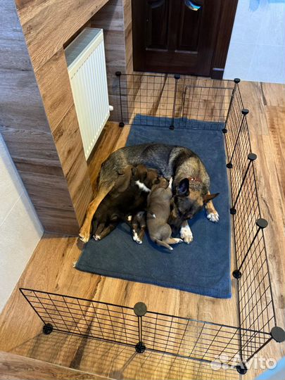 Подарим хорошим и добрым людям