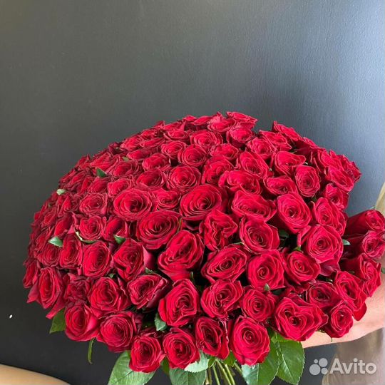 101 красная роза
