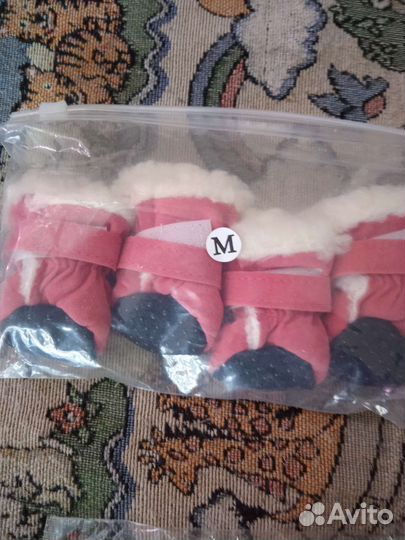 Вещи для маленькой собачки