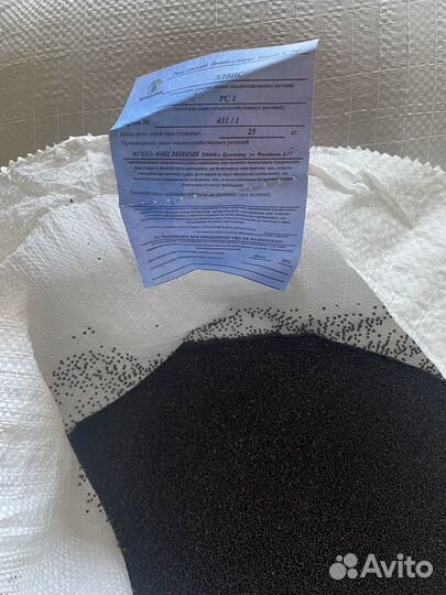 Рапс. семена озимого рапса