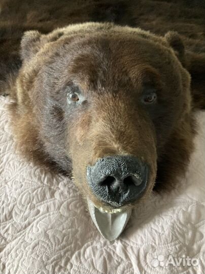 Шкура медведя (имитация)