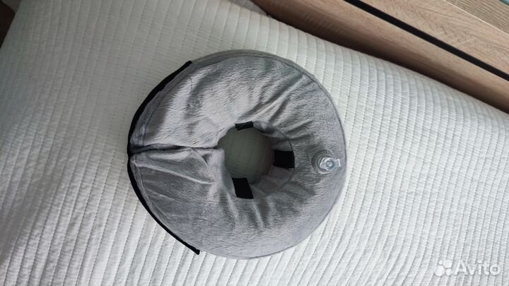 Защитный воротник для животных