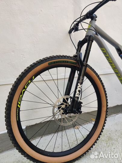 Specialized Stumpjumper Comp Alloy 29 2020 (L)