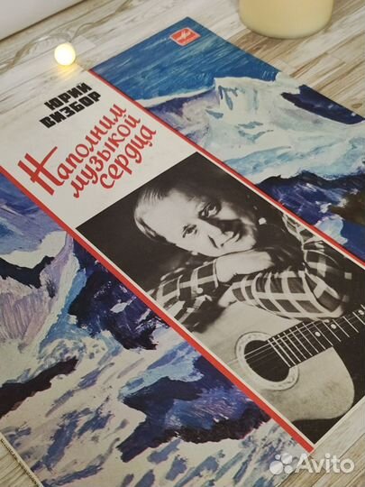 Виниловая пластинка