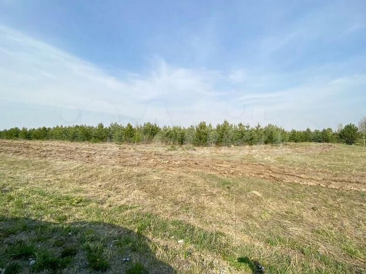 Участок 12 га (СНТ, ДНП)