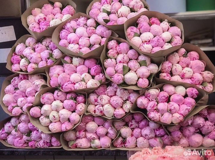 Пионы с доставкой Цветы