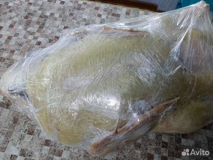 Утка - бройлер