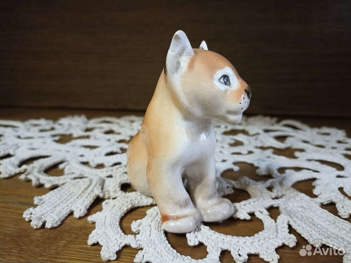 Собака и лев лфз