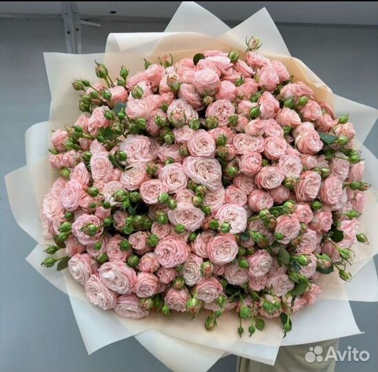 Кустовые пионовидные розы