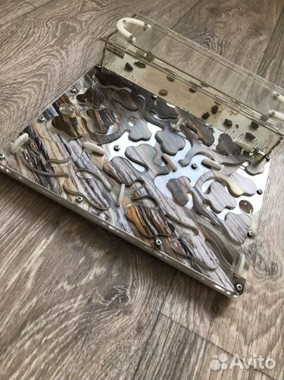 Муравьиная ферма с муравьями