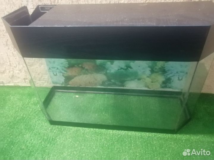 Аквариум 50 литров