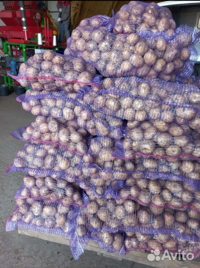 Доставка свежих овощей