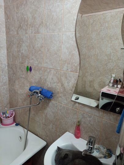 2-к. квартира, 53,4 м², 1/5 эт.