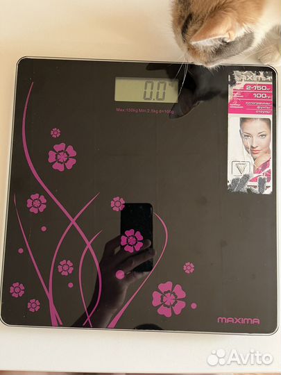 Весы напольные электронные