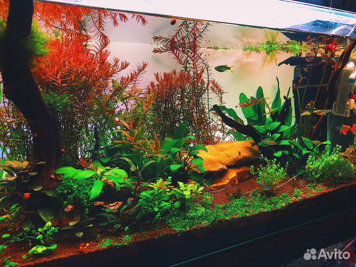 Аквариум 100 литров PRO полный комплект