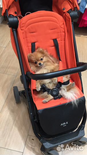Коляска Anex x air