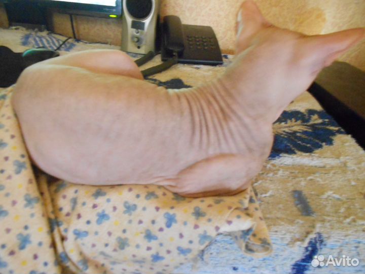 Вязка