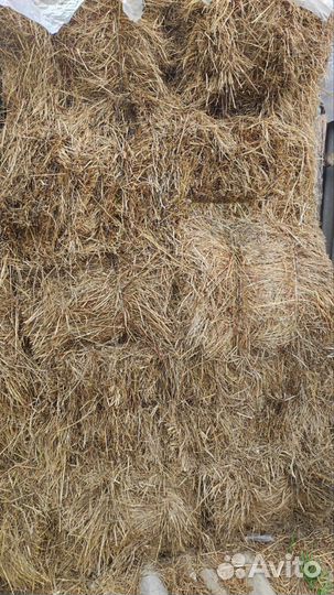 Сено в рулонах и тюках