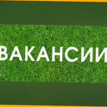 Оператор в цех сборки Работа вахтой Выплаты еженедельно Жилье+Еда Хор.Усл