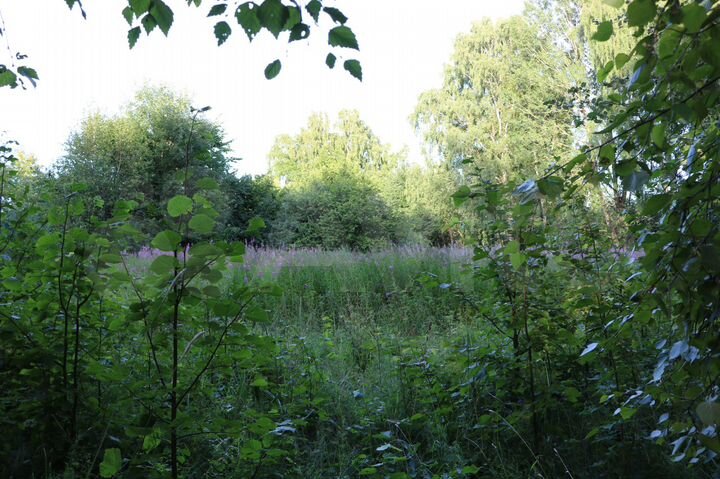 Участок 20 сот. (ИЖС)