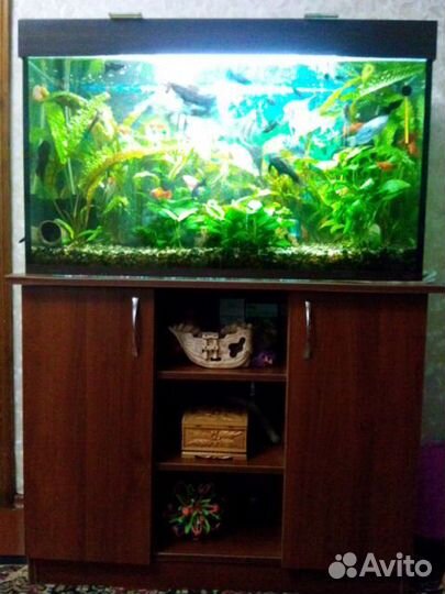 Аквариум