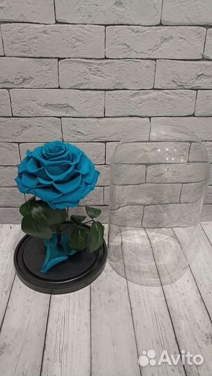 Роза в колбе