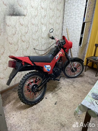 Зид пилот 50