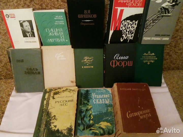 Классика рус. и заруб.,в том числе из шк.пр.,проч