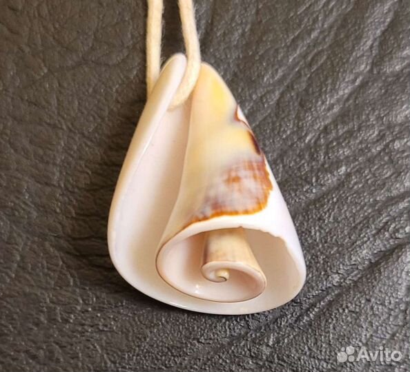 Кулон из морской раковины