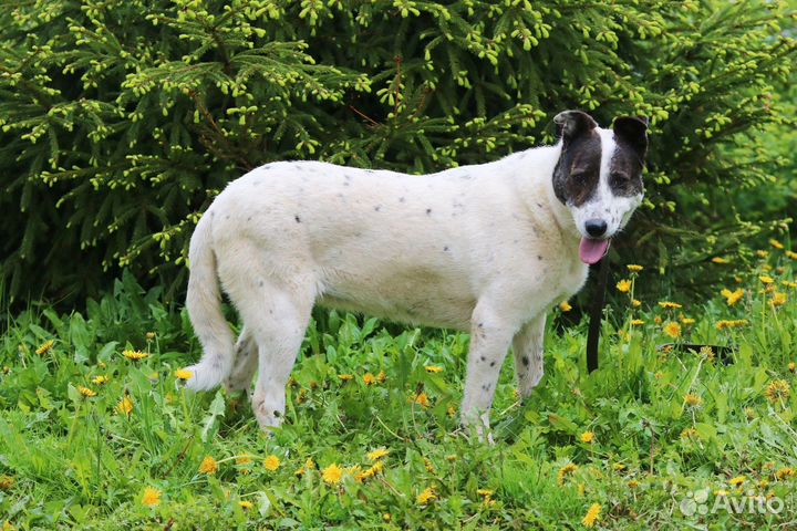 Лера ждет вас