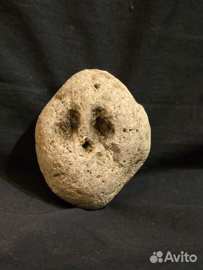 Камень питомец Pet Rock