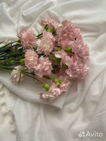 Букеты гвоздики розовые