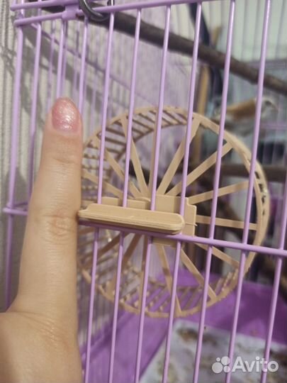 Колесо для хомяка