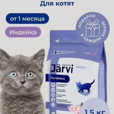 Корм для кошек