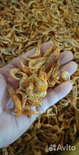 Креветки в Москве и мо