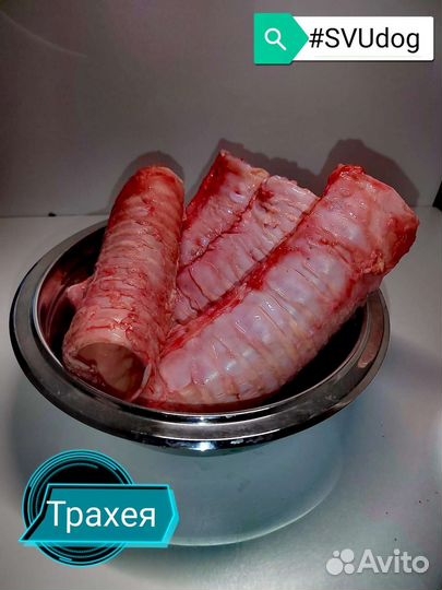 Мясо для собак