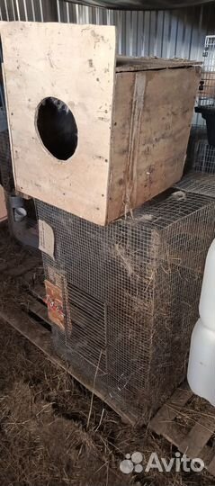 Клетки для кроликов бу можно для другой живности